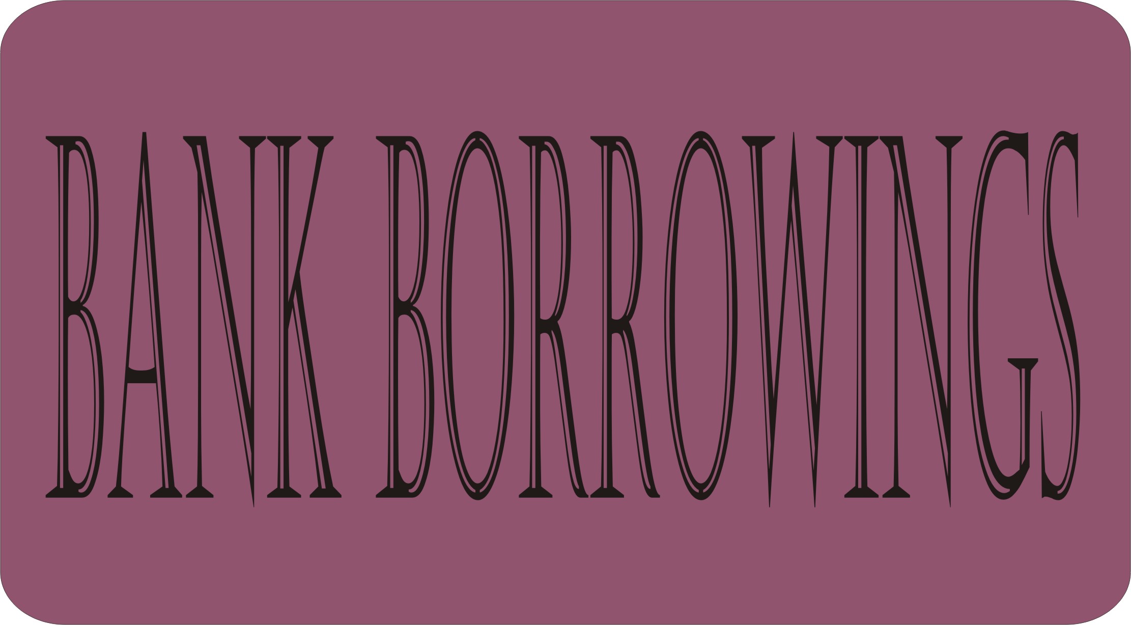 Bank Borrowings