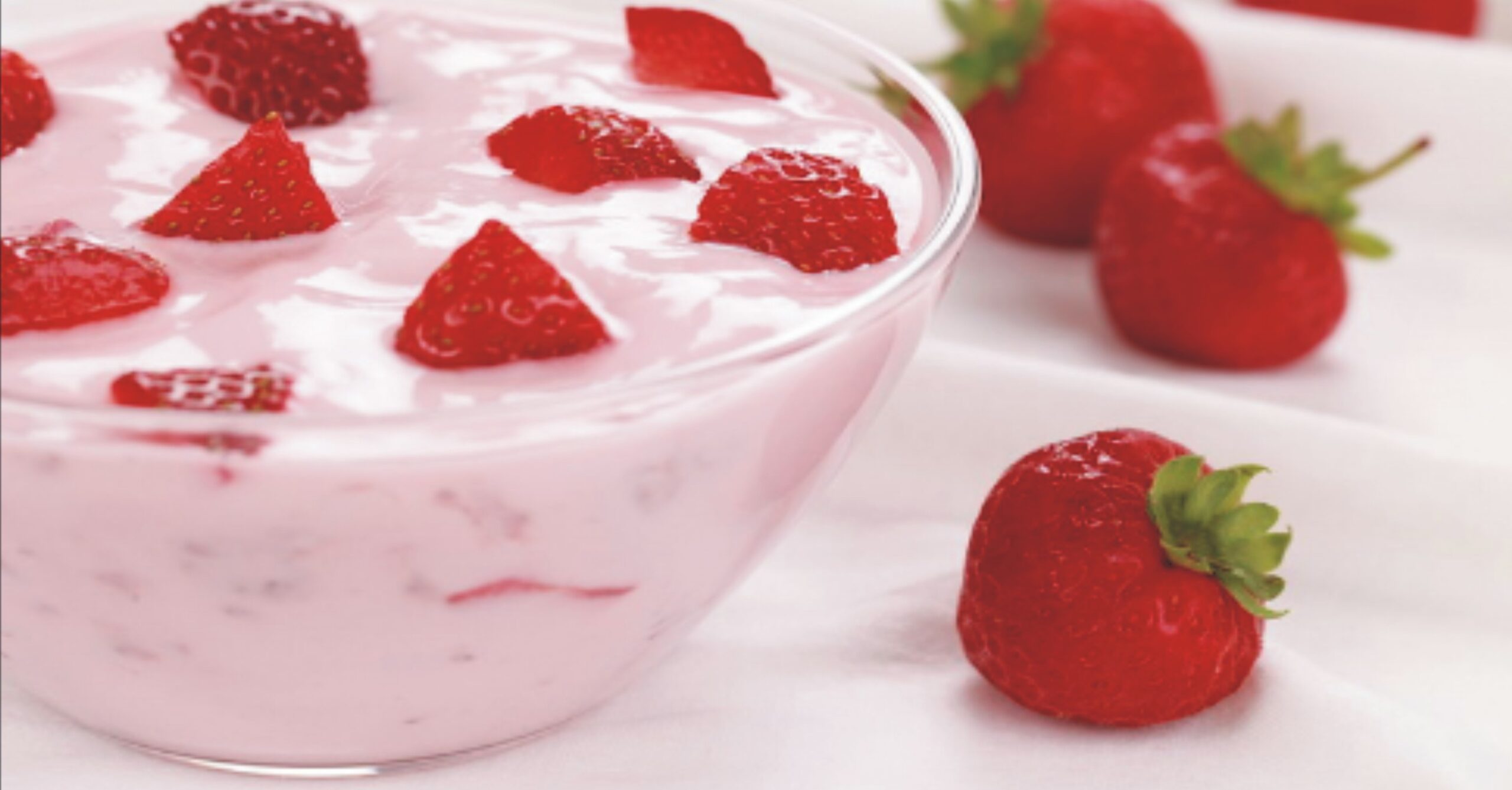 Yogurt Production Business Plan In Nigeria