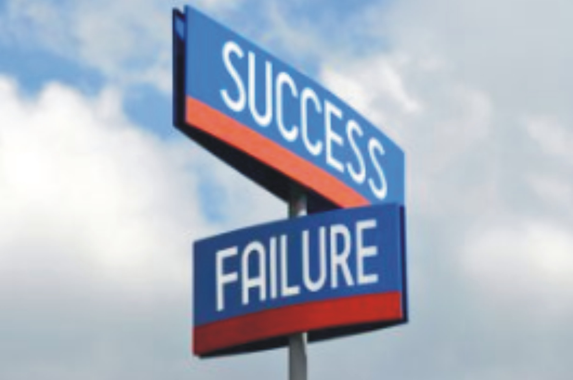 Organisational Failure And Success